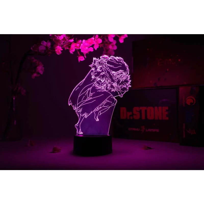 LED Lamp Tsukasa Shishio - Dr Stone™