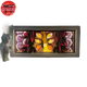 3D Night Light Kokushibo 
