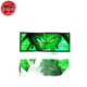 3D Night Light Lamp Broly - Dragon Ball Z™