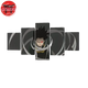 Canvas Print Shota Aizawa - My Hero Academia™