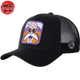 Cap Turtle Master - Dragon Ball Z™