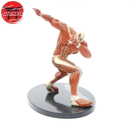 Figure Colossal Titan - Attack on Titan™