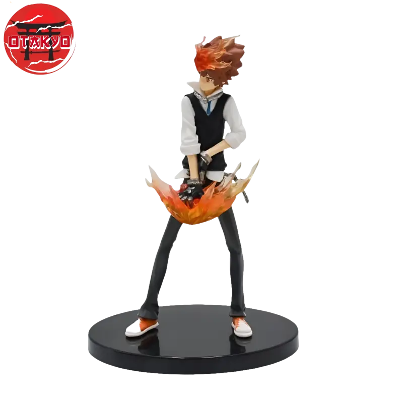 Figure Tsunayoshi Sawada - Reborn™