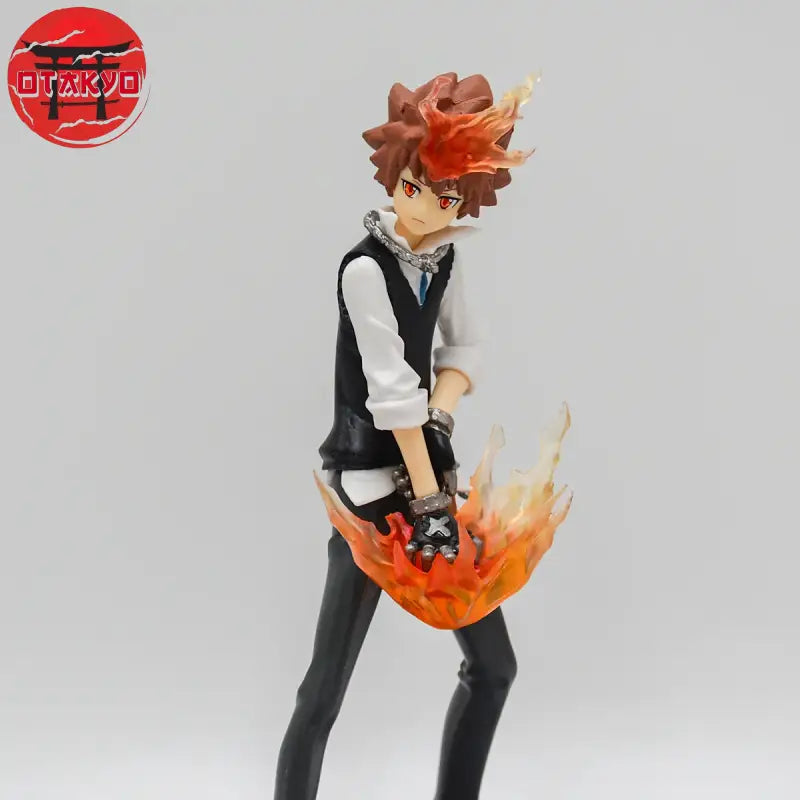 Figure Tsunayoshi Sawada - Reborn™