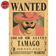 Poster Wanted Baron Tamago - One Piece™