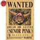 Poster Wanted Señor Pink - One Piece™